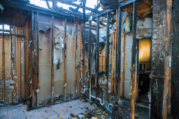 Professional Smoke Damage Removal technician working in Shrewsbury, MO